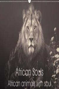 African Souls African Animals with Soul 2018