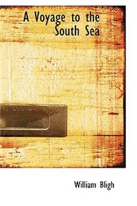 A Voyage to the South Sea