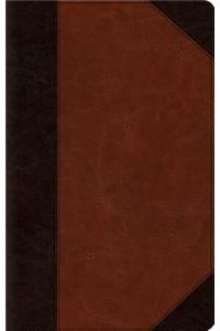 ESV Large Print Thinline Bible
