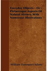 Everyday Objects - Or - Picturesque Aspects Of Natural History, With Numerous Illustrations