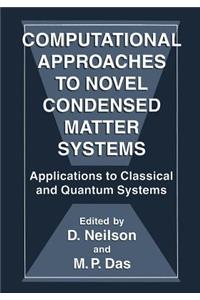 Computational Approaches to Novel Condensed Matter Systems