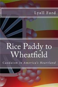 Rice Paddy to Wheatfield