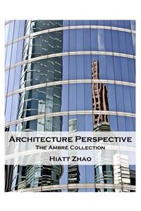Architecture Perspective