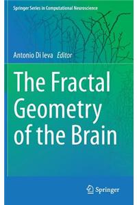 Fractal Geometry of the Brain