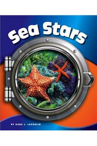 Sea Stars