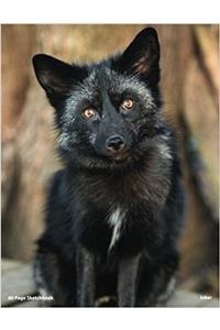 80 Page Fox Sketchbook