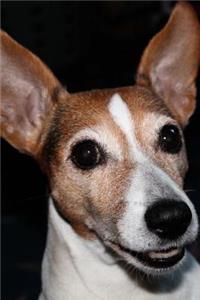 Darling Jack Russel Terrier Dog Portrait Pet Journal