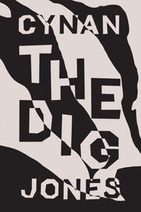 Dig