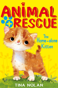 Home-Alone Kitten