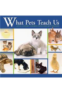 What Pets Teach Us: Life's Lessons Learned from Our Best Friends