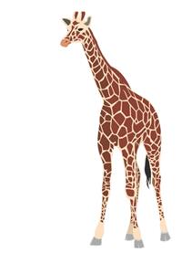 Giraffe Composition Notebook