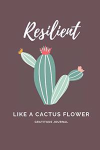 Resilient like a Cactus Flower