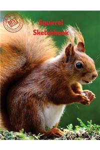 Squirrel Sketchbook