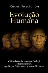 Evolução humana