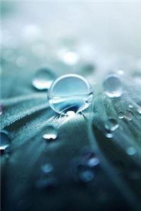 Hydrotherapy