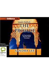 Guzin Najim's the Promise