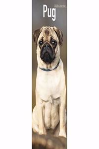 Pug Slim Calendar 2020