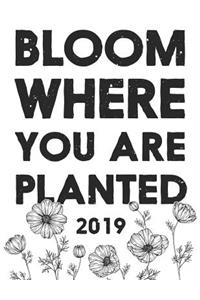 Bloom Where You Are Planted 2019
