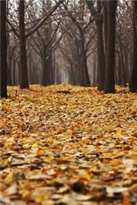 Autum Leaves Fallen on the Forest Floor Journal