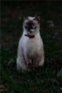 Burmese Cat Notebook