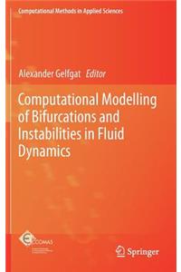 Computational Modelling of Bifurcations and Instabilities in Fluid Dynamics