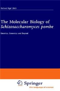 Molecular Biology of Schizosaccharomyces Pombe