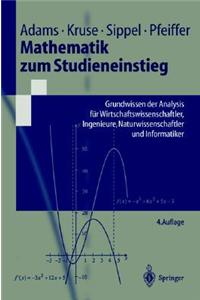 Mathematik Zum Studieneinstieg: Grundwissen Der Analysis Fa1/4r Wirtschaftswissenschaftler, Ingenieure, Naturwissenschaftler Und Informatiker