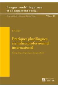 Pratiques Plurilingues En Milieu Professionnel International