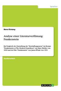 Analyse einer Literaturverfilmung