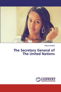 The Secretary General of The United Nations