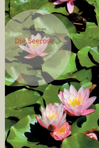 Seerose