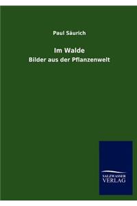 Im Walde