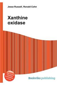 Xanthine Oxidase