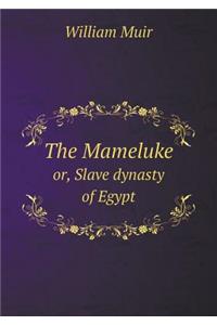 The Mameluke or, Slave dynasty of Egypt