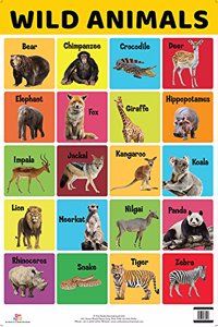 Charts: Wild Animals Charts (Educational Charts for kids)