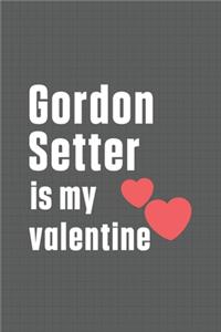 Gordon Setter is my valentine