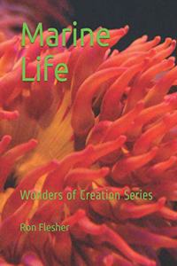 Marine Life: Wonders of Creation Series