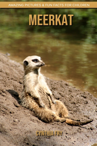 Meerkat