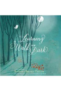 Learning to Walk in the Dark