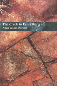 Crack In Everything