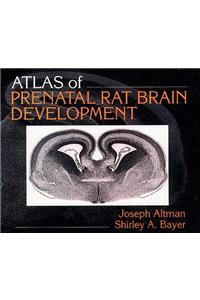 Atlas of Prenatal Rat Brain Development