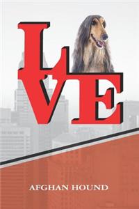Afghan Hound