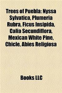 Trees of Puebla