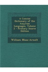 A Concise Dictionary of the Assyrian Languages, Volume 2 - Primary Source Edition