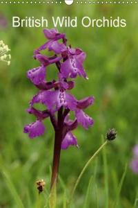 British Wild Orchids 2018