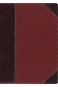 ESV MacArthur Study Bible