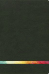 Rvr 1960 Biblia de Estudio Arco Iris, Verde Profundo/Multi Simil Piel