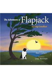 The Adventures of Flapjack