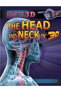 Head and Neck in 3D