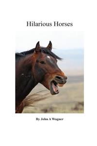 Hilarious Horses